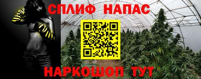 стафф Бугуруслан