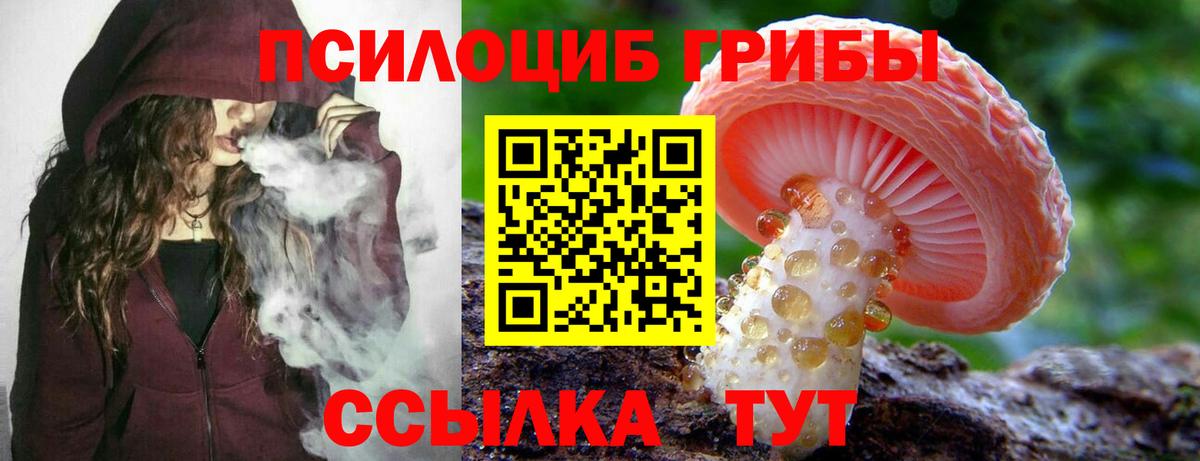 Галлюциногенные грибы мухоморы Краснознаменск